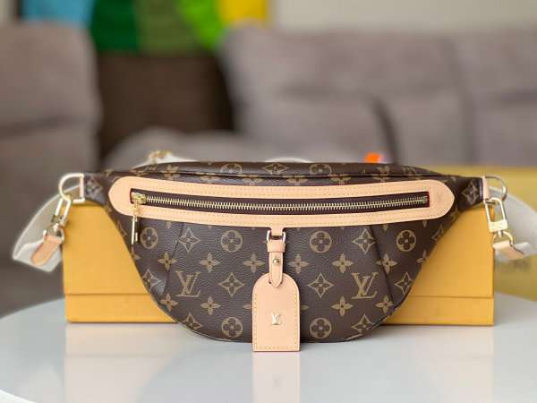 Louis Vuitton High Rise Monogram Bumbag Bag M46784