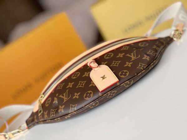 Louis Vuitton High Rise Monogram Bumbag Bag M46784