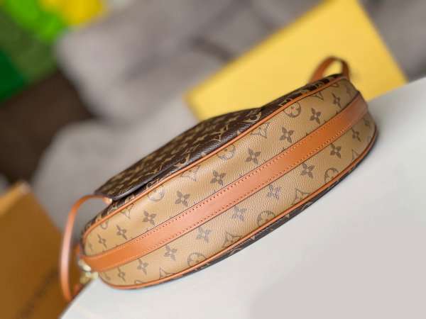 Louis Vuitton Loop Hobo Monogram Bag LV M46311